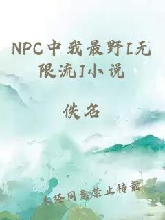 NPC中我最野[无限流]小说