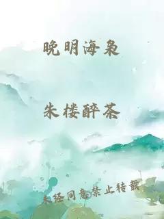 晚明海枭