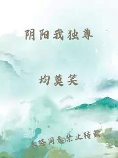 阴阳我独尊