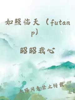 如照临天（futanp）