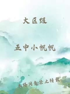 大区级