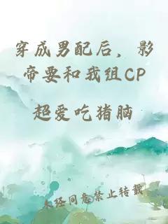 穿成男配后，影帝要和我组CP