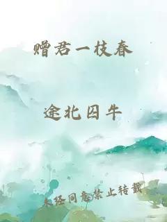 赠君一枝春