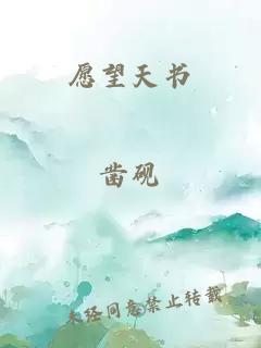 愿望天书