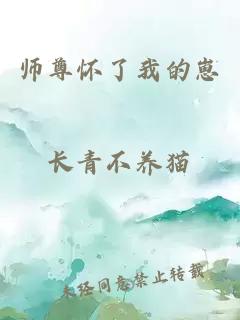 师尊怀了我的崽