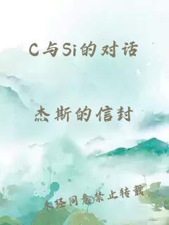 C与Si的对话