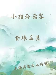 小相公云容